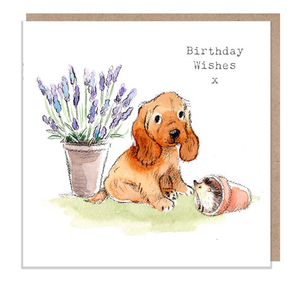 Old English Co. - Biglietto per auguri di compleanno con cane labrador retriever, con scritta Just because for him o Thinking of you, per uomini e donne, interno bianco