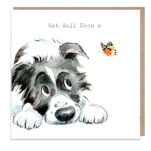 Guérir bientôt - Carte de voeux de qualité - Illustration de chien charmant - Gamme « Absolutement aboyant » - Border Collie - Fabriqué au Royaume-Uni - ABE022