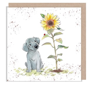 Carte vierge - Carte de qualité - Illustration de chien charmant - Gamme « Absolument aboyant » - Chiot gris avec tournesol - Fabriqué au Royaume-Uni - ABE111