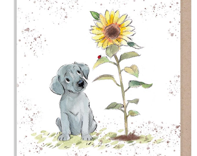 Blank Card - Quality Card - Charming Dog illustration - 'Absolutely barking' range - Grey Puppy with Sunflower - Made in UK -  ABE111