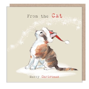 Du chat - Carte de Noël de qualité - 150 x 150 mm - Illustration de charmant chat - Gamme « Pawsitively Purrect » - Fabriqué au Royaume-Uni - XPP011