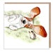 see more listings in the Tout section