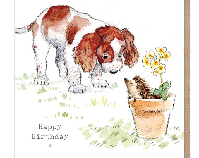 Dog Birthday Card - Quality Greeting Card - Charming illustration - 'Absolutely barking' range - Springer Spaniel- Made in UK -  ABE012