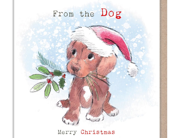 From the Dog - Quality Christmas Card - 150 x 150 mm - Charming illustration - 'Absolutely barking' range - Made in UK -  ABX0117