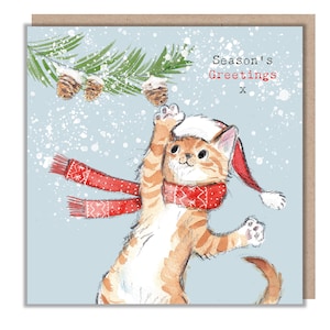 Carte de Noël de qualité - Illustration charmante de chat - Gamme « Pawsitively Purrect » - Chat roux avec bonnet et écharpe de Noël - Fabriqué au Royaume-Uni - XPP04