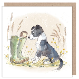 Cartão em branco - Cartão de felicitações de qualidade - Ilustração encantadora - Linha 'Buttercup Farm' - Collie Dog and Hedgehog - Fabricado no Reino Unido - BF08