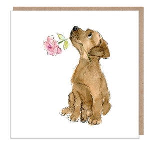 Blanko Karte - Hochwertige Grußkarte - Bezaubernde Illustration -süßer Hund - 'Absolutely Barking' - Chocolate Labrador - Made in UK - ABE048