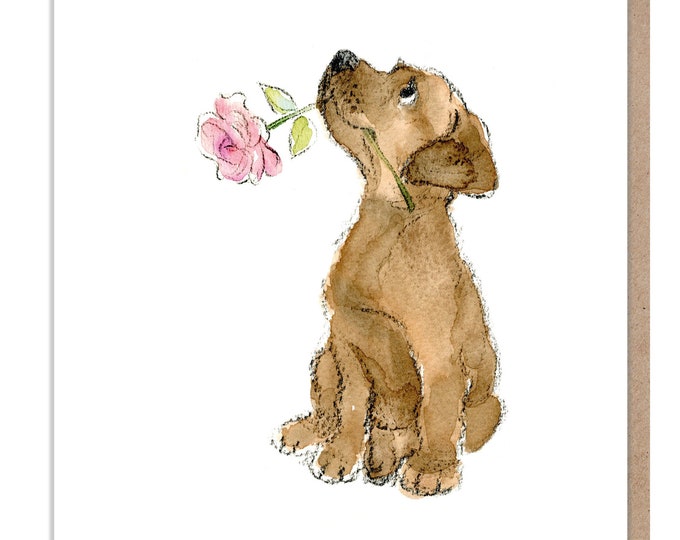 Blank Card - Quality Greeting Card - Charming illustration -Cute dog- 'Absolutely barking' range - Chocolate Labrador - Made in UK -  ABE048