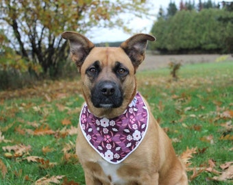 Dog Bandana • Pet neckwear • Cat bandana • velcro pet bandana • New puppy gift • Dog mom Gift