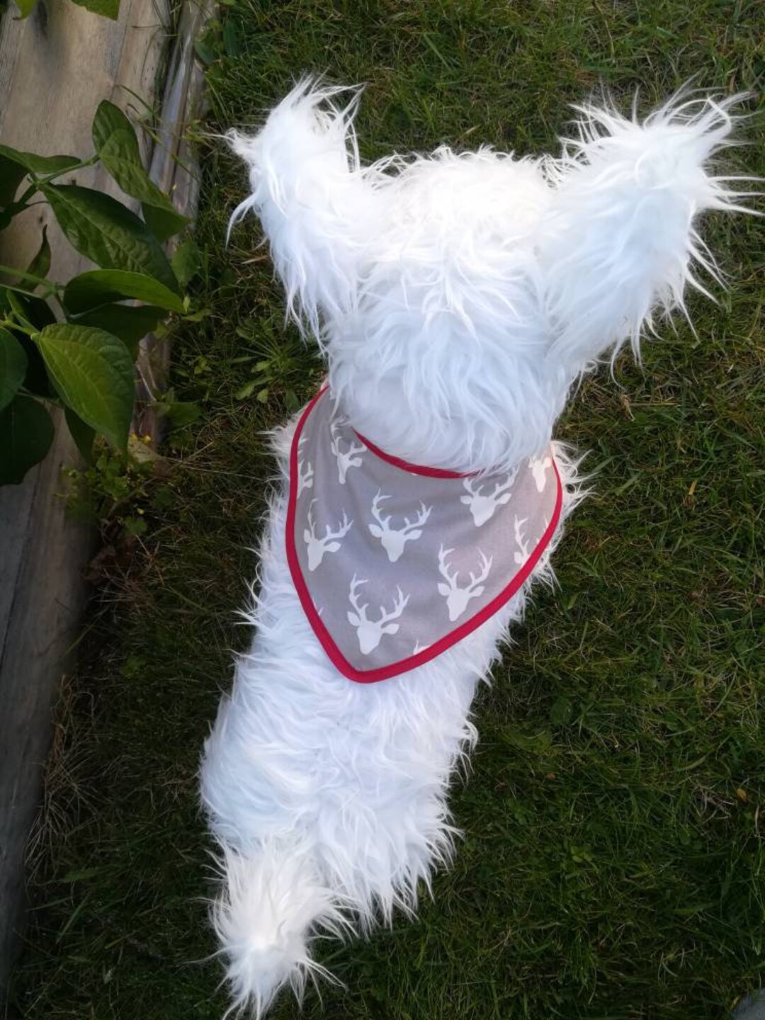 Dog Bandana Pet Neckwear Cat Bandana Velcro Pet Bandana Etsy