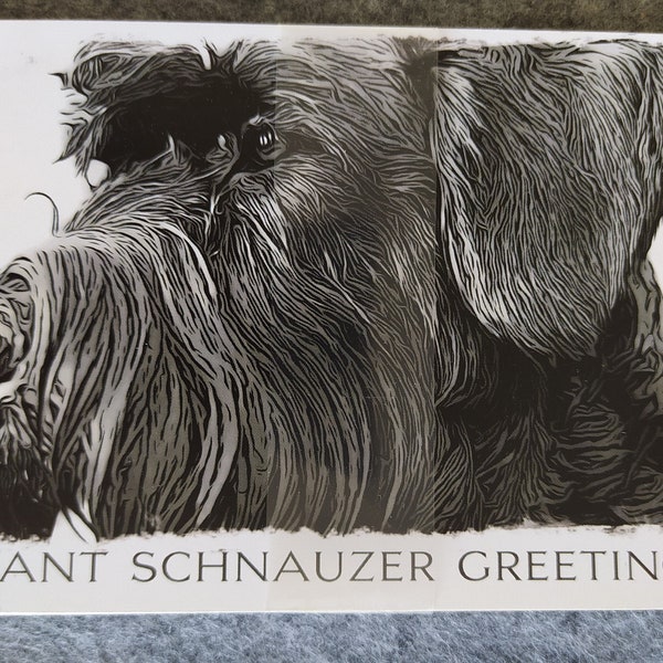 Giant Schnauzer, schnauzer géant, moustache, cartes postales, postcards