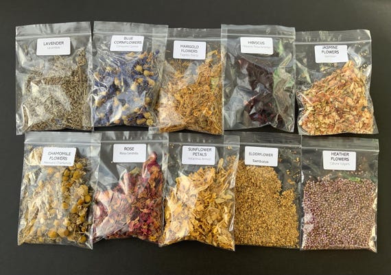 10 Magic Spell Dried Flowers, Wicca Potion Ingredients, Charms, Pagan, Witchcraft, Kitchen Witch, Book of Shadows, Grimoire