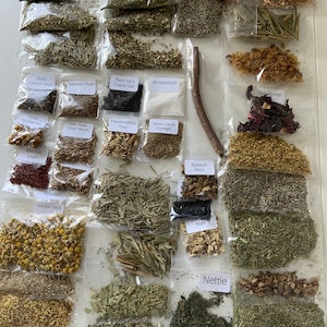 40 Herbs for Spell Magick - Spell Kit - Potions - Pagan - Wicca - Witch Baby - Magical Ingredients - Magic Spell - Charms