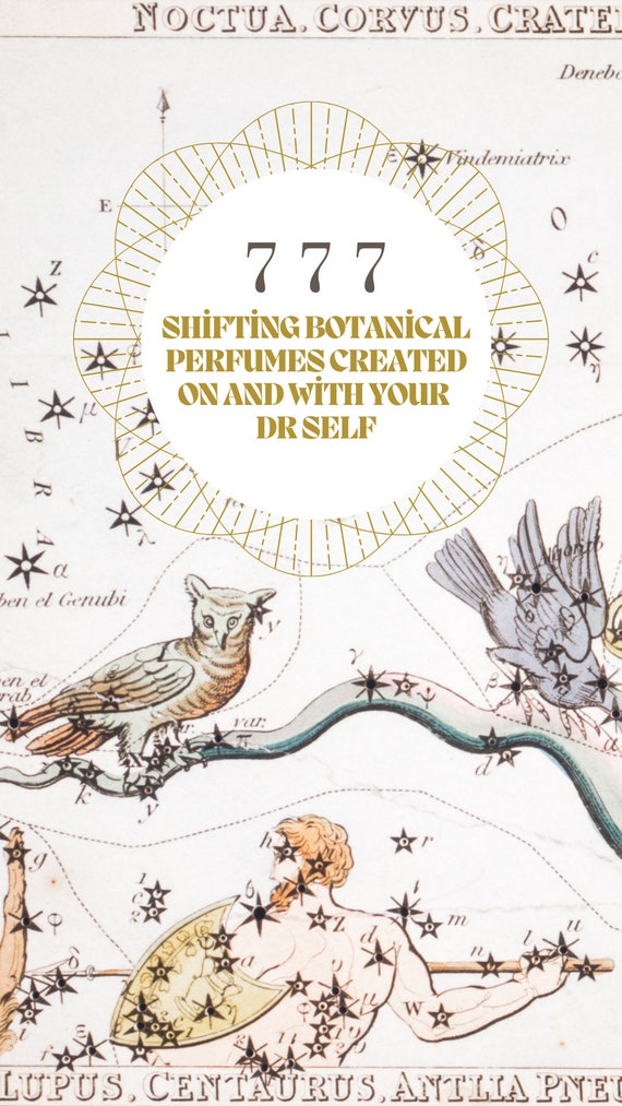 Shifting Oil - botanical perfumes for shifting created with and for your doctor self