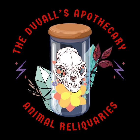 Animal Reliquaries ~ animal wisdom medicine for your practice ~