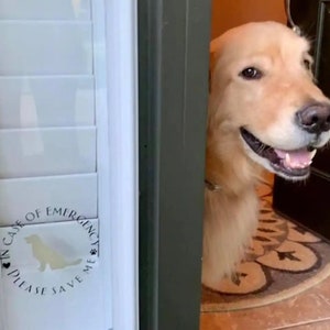 May include: A golden retriever dog peeks through a doorway with a sticker on the door that reads "In case of emergency, please save me".