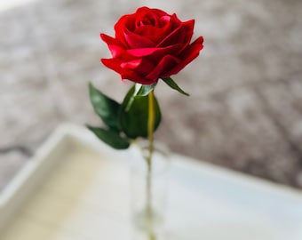 Single Stem Roses In Vase , Real Touch Roses In Permanent Water, Anniversary Rose, Forever Rose, Red, White,Pink,Purple