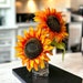 see more listings in the Girasoli section