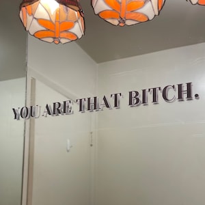 You Are That Bitch Reusable Renter-friendly Mirror Decal