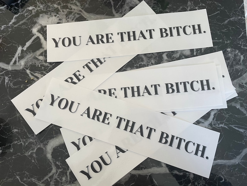 You are that bitch Wiederverwendbar Mieter-freundlicher Spiegel Aufkleber Bild 4