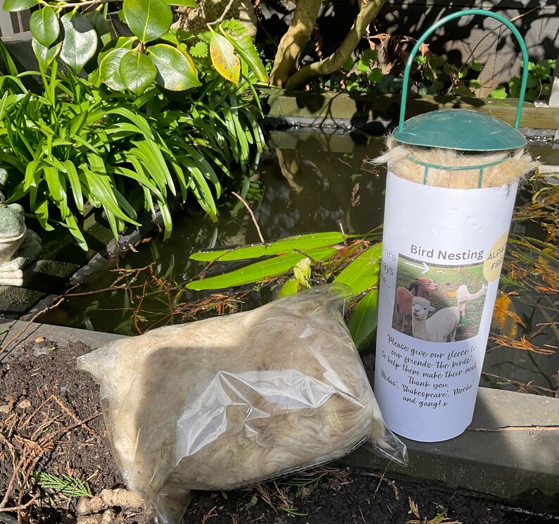 May include: A white bag filled with fluffy alpaca fleece sits next to a green and white bird nesting box. The box has a label that reads "Bird Nesting Alpaca Fleece" and includes instructions to give the fleece to birds to help them make their nests. The label also includes a thank you message from "Shakespeare, Morde and gang!"