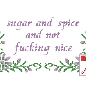Sugar and Spice... Rude Cross Stitch Pattern Instant PDF Download image 1