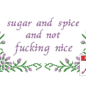 Sugar and Spice... Rude Cross Stitch Pattern Instant PDF Download image 1