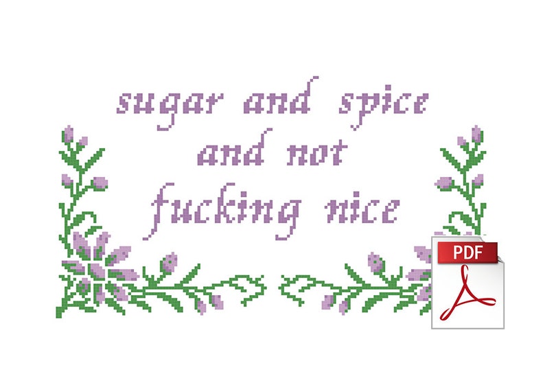 Sugar and Spice... Rude Cross Stitch Pattern Instant PDF Download image 1