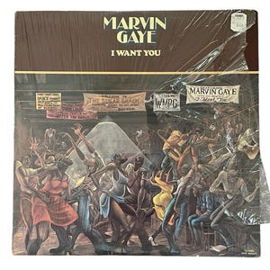 Vintage Marvin Gaye I Want You Płyta Winylowa Album 1976