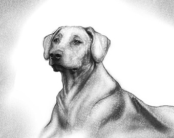 Custom Pencil Pet Portrait from Photo (Digital Art File Only)