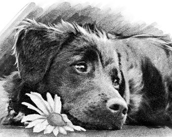 Dog mom gift - Charcoal Custom Pet Portrait - Custom Dog Portrait| Charcoal drawing from photo - Happy mothersday | DIGITAL PORTRAIT