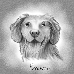 Puede incluir: Dibujo a l&aacute;piz en blanco y negro de un perro golden retriever con la lengua fuera. El perro est&aacute; mirando hacia arriba y tiene una expresi&oacute;n feliz. El dibujo est&aacute; firmado "Brown" en la parte inferior.