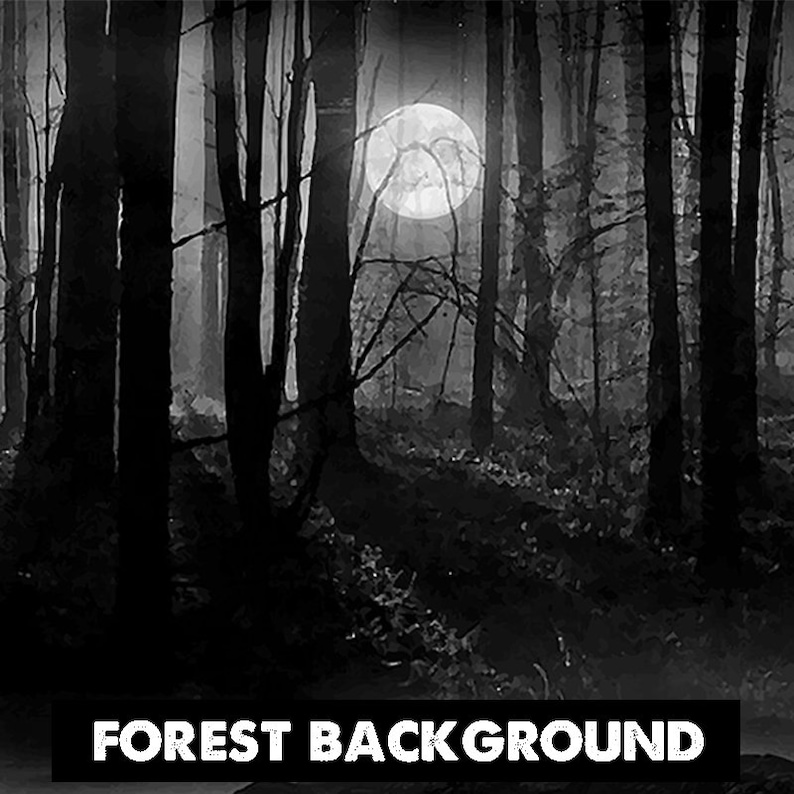 May include: A black and white image of a dark forest with tall trees and a full moon shining through the branches.