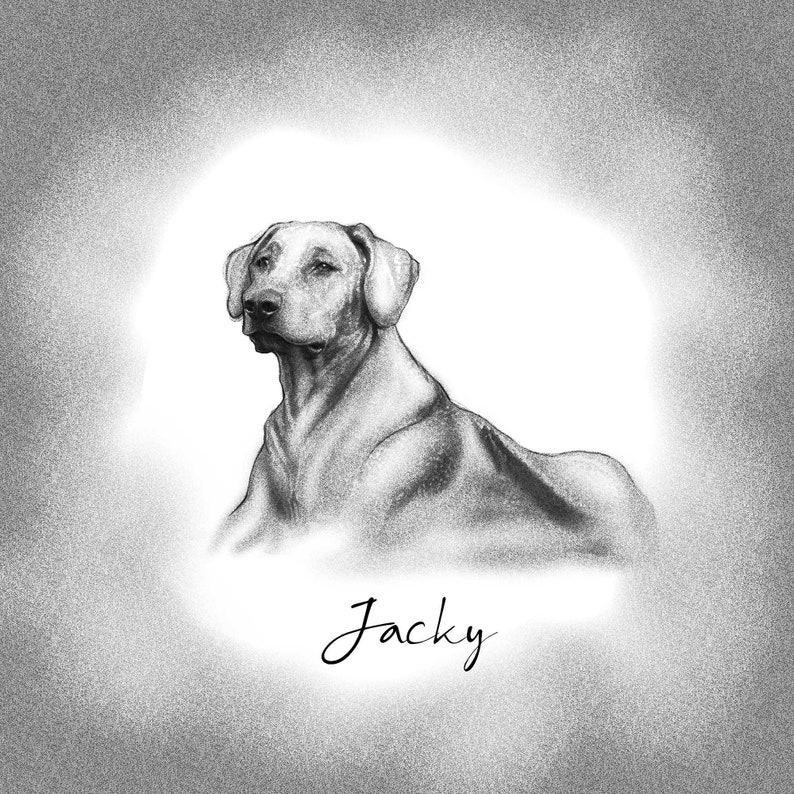 Puede incluir: Dibujo a l&aacute;piz en blanco y negro de un perro llamado "Jacky". El perro es un Rhodesian Ridgeback, una raza grande con una cresta de pelo distintiva que recorre su espalda. El perro est&aacute; mirando hacia la izquierda de la imagen.