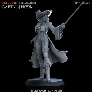Captain Hook | Bella Nacht Miniatures | Dungeons & Dragons | Fantasy Miniatures | Peter Pan