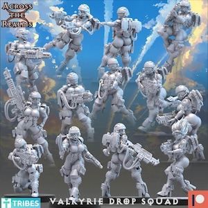 Könnte beinhalten: Eine Ansammlung grauer Valkyrie Drop Squad-Figuren in verschiedenen Action-Posen, die futuristische Waffen halten. Die Figuren sind detailliert mit Helmen, Rüstungen und mechanischen Komponenten. Der Text "Across the Realms" und "Valkyrie Drop Squad" ist enthalten.