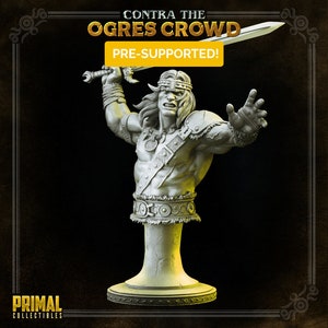 Boris | Fantasy Bust 3D resin printed miniature | by PRIMAL Collectibles