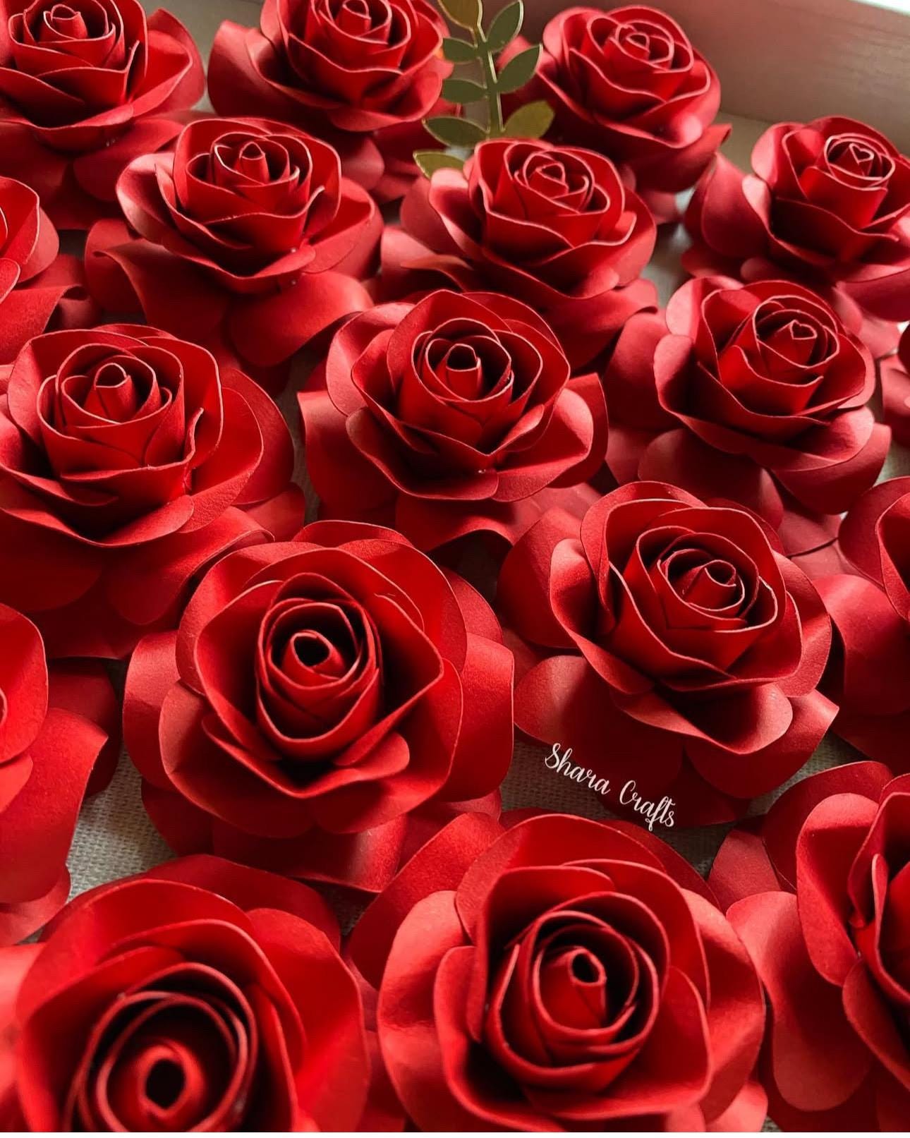 Sg Roses Design Guadalupe Rose Svg, Rose Template - Etsy