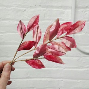 May include: A branch of pink and red leaves with a textured, velvet-like finish. The leaves are arranged in a fan shape and have a delicate, airy appearance.