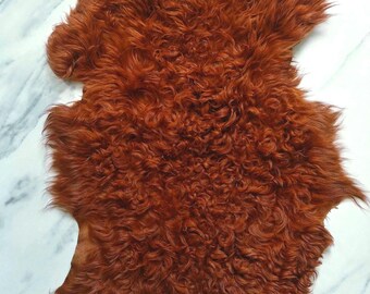 Curly lamb shearling skin, 24&quot;X15&quot;, in rust, orange, brown fall colors, thick fur, small lambskin hair on hide, 3 ft, Italian leather skins