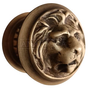 Könnte beinhalten: Türknauf mit Löwenkopf aus Bronze. Der Knauf zeigt ein detailliertes Löwengesicht in einem kreisförmigen Design. Der Knauf ist aus Metall und hat ein Vintage- oder Antik-Aussehen. Mähne und Gesichtszüge des Löwen sind deutlich definiert.