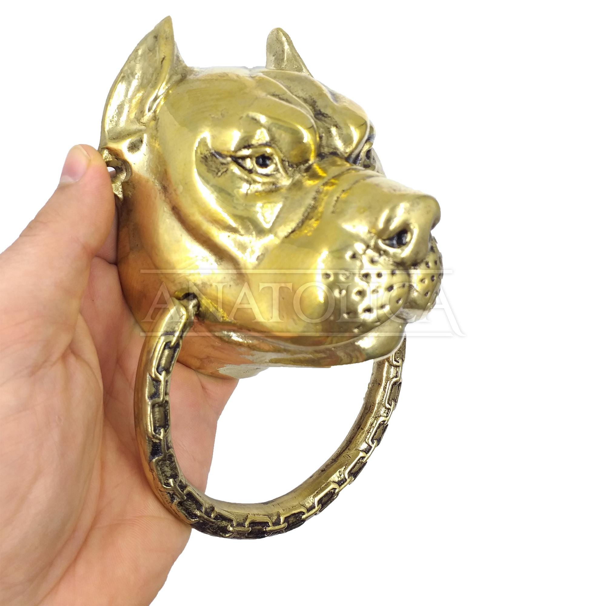 Anatolica Pitbull Door Knocker, Solid Brass, 7.1 Inches Tall, Dog