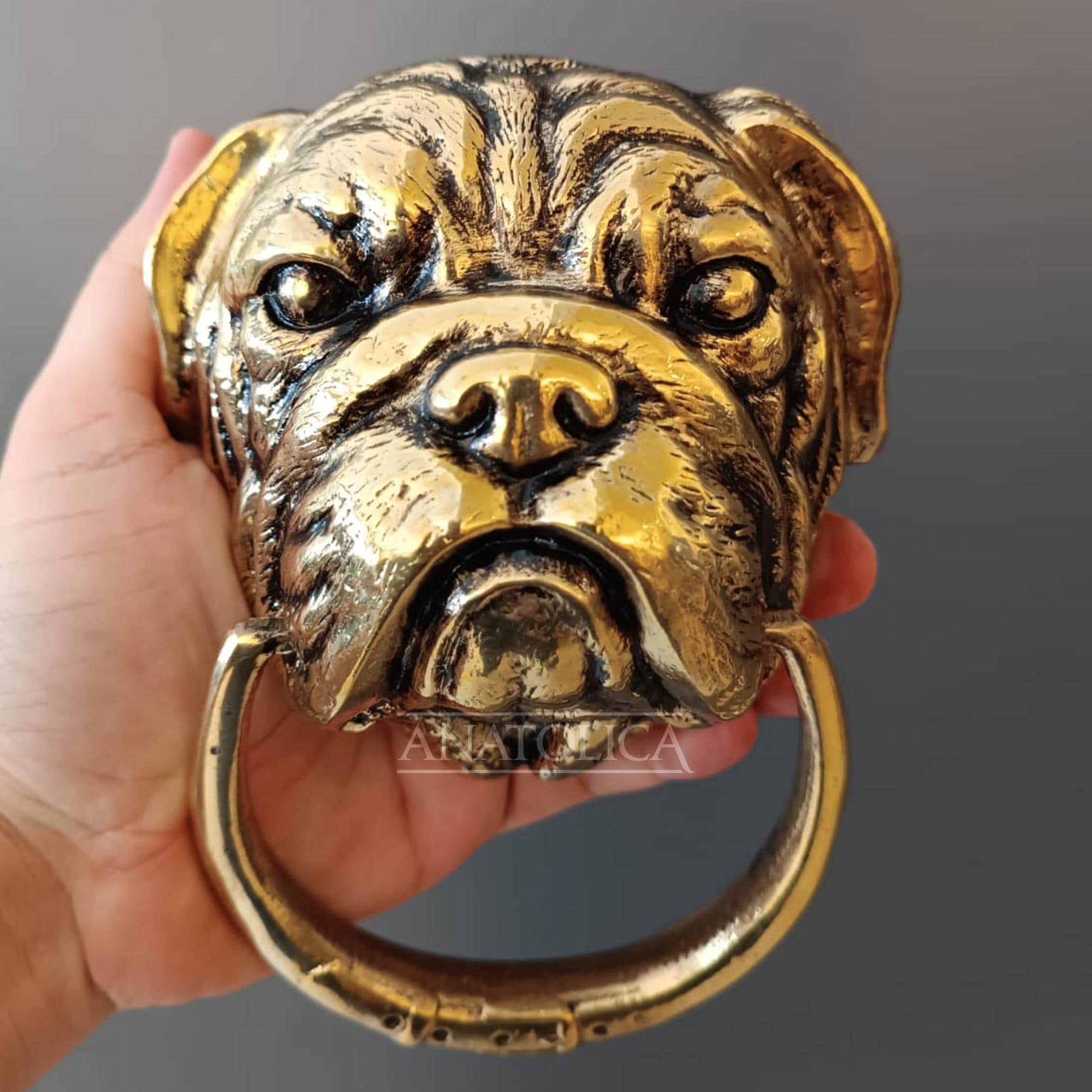 Anatolica Bulldog Door Knocker, 7.1 Inches, Solid Brass, Heavy 2.4