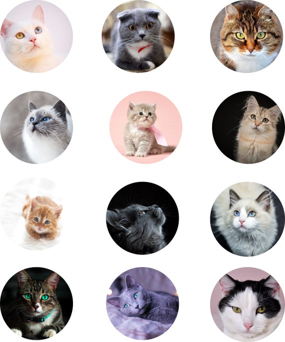 Download Cat Pop-Up Phone Socket Grip Sublimation Templates-Set of ...
