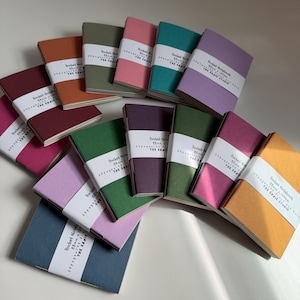 May include: A collection of pocket notebooks in various solid colors including blue, green, pink, purple, orange, and red. Each notebook features a white paper band printed with the text Pocket Notebook 88mm x 120mm 20pages/40 sides THE ERNIE STUDIO.