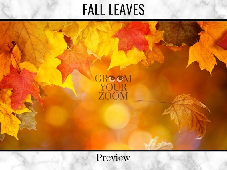 free fall virtual backgrounds for zoom