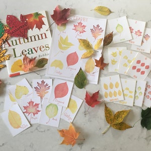 Paquete de aprendizaje temprano de hojas de otoño - Estudio de la naturaleza de Charlotte Mason