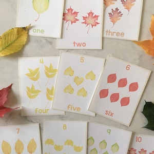 Tarjetas didácticas con números de hojas de otoño, del 1 al 10 - Estudio de la naturaleza de Charlotte Mason