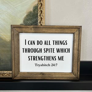 I can do all things through spite which strengthens me | wood framed canvas sign | wall decor | snarky wall signs | sarcastic gift