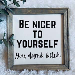 Be nicer to yourself you dumb bitch | funny wall sign | snarky home decor | framed canvas sign | funny home decor | sarcastic decor